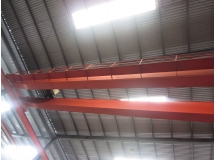 Cầu trục dầm đôi